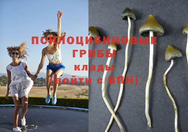 гашиш Заволжск