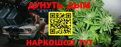 шишки Абинск