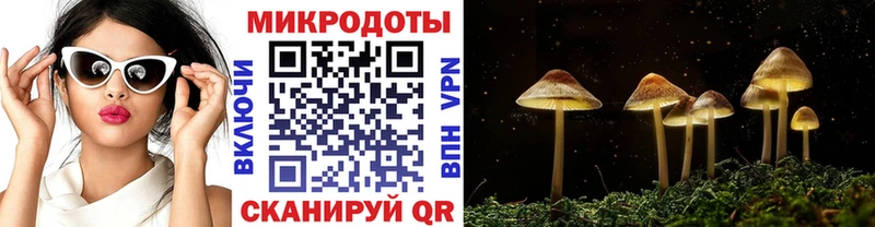 наркошоп  Славянск-на-Кубани  Галлюциногенные грибы ЛСД 
